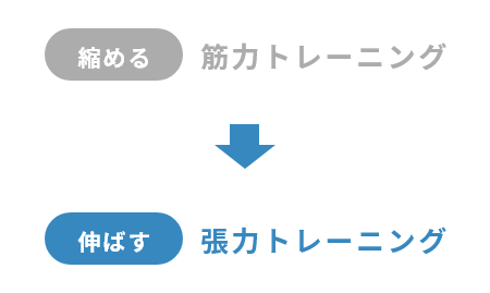 縮める 筋力トレーニング→伸ばす 張力トレーニング